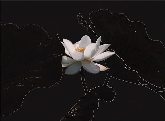 活动