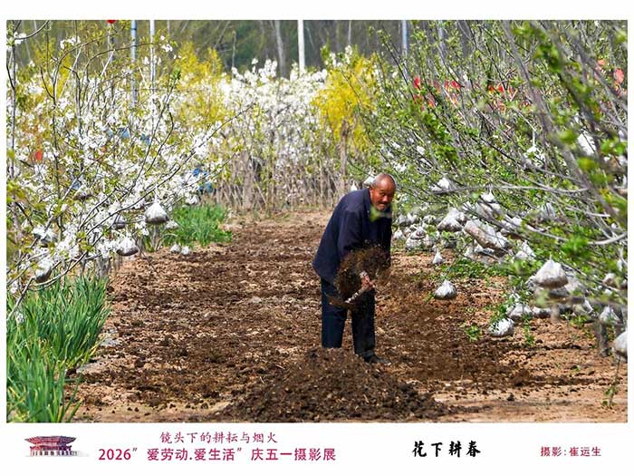 享活动