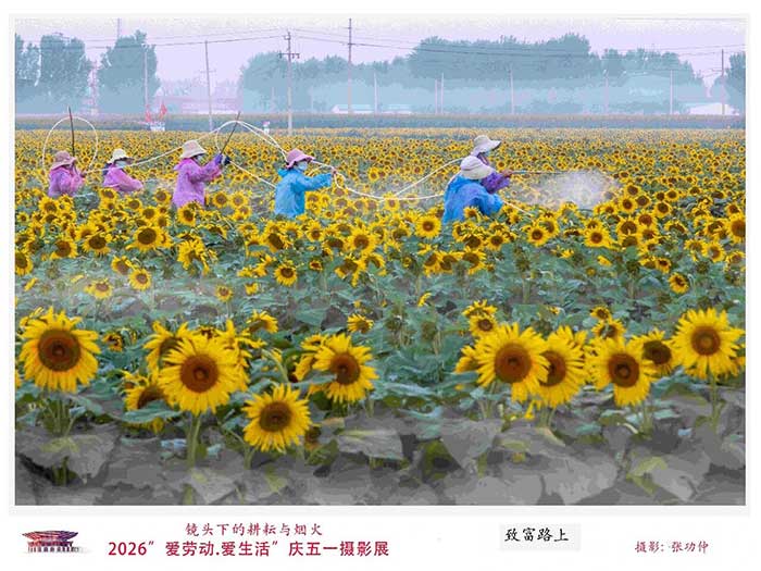 享活动